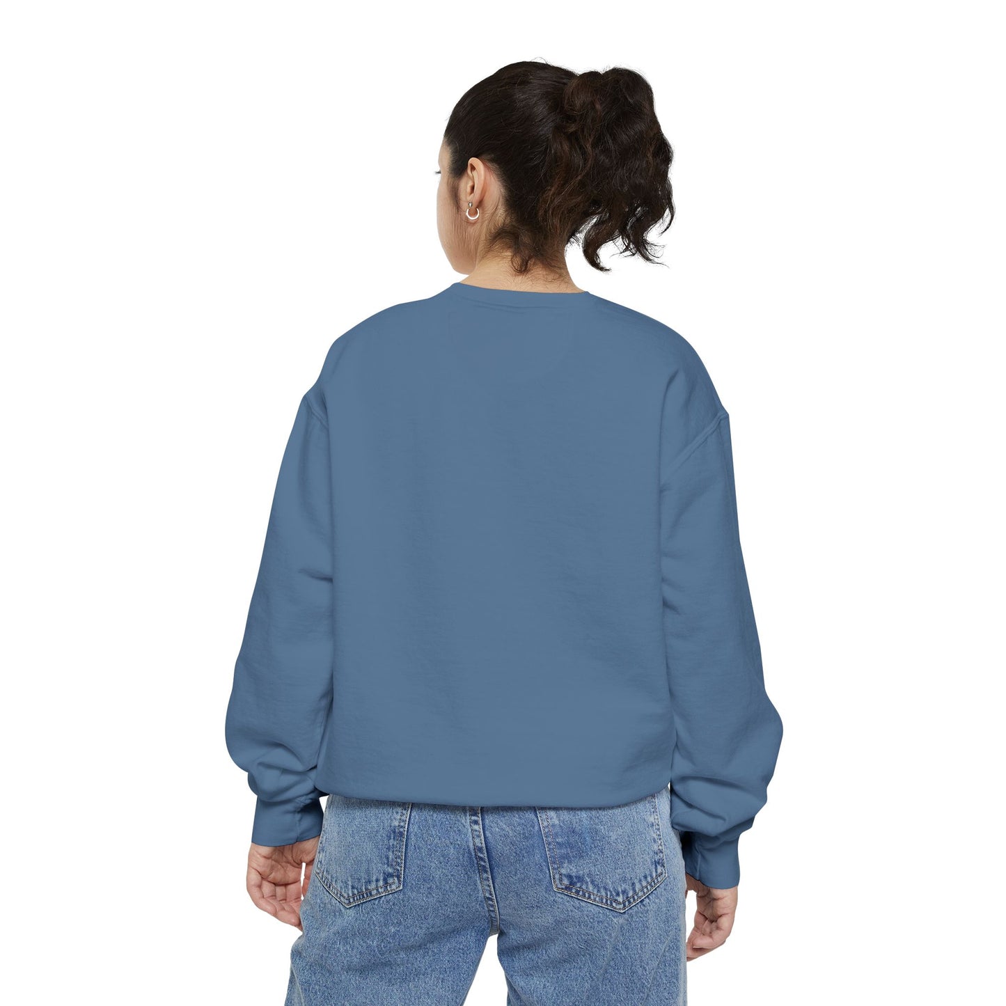 The Tardigrades Pullover