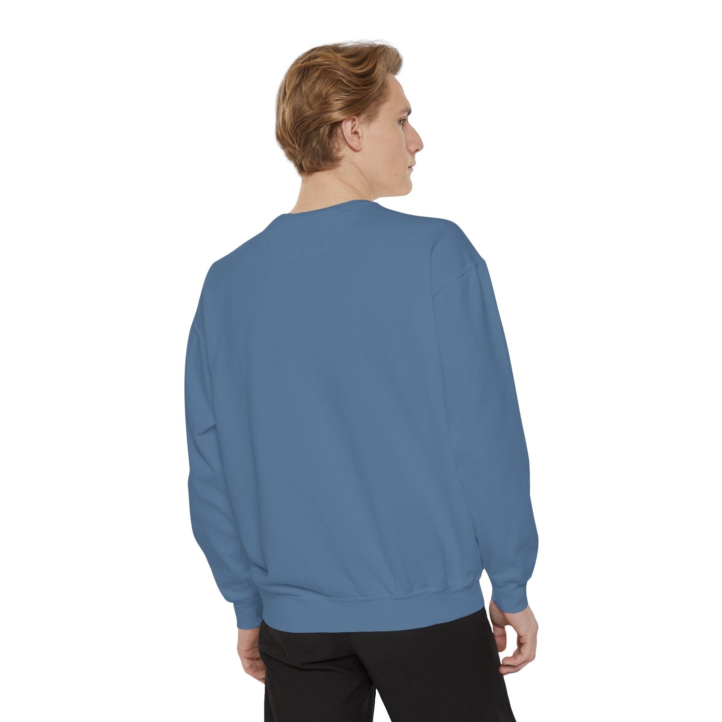 The Tardigrades Pullover