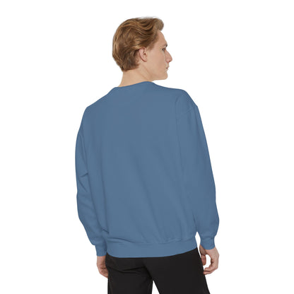 The Tardigrades Pullover