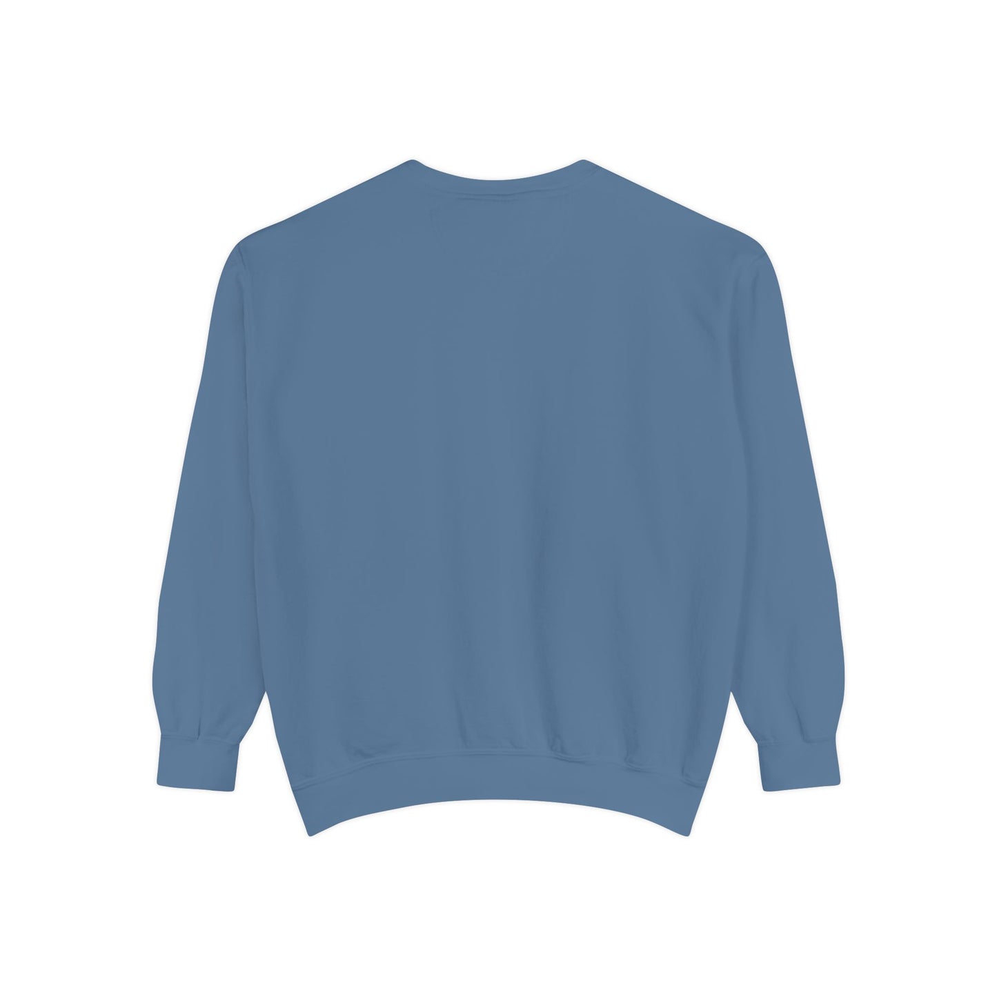 The Tardigrades Pullover