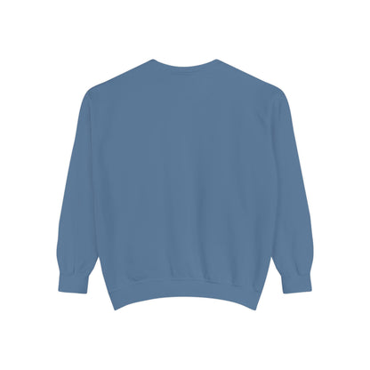 The Tardigrades Pullover