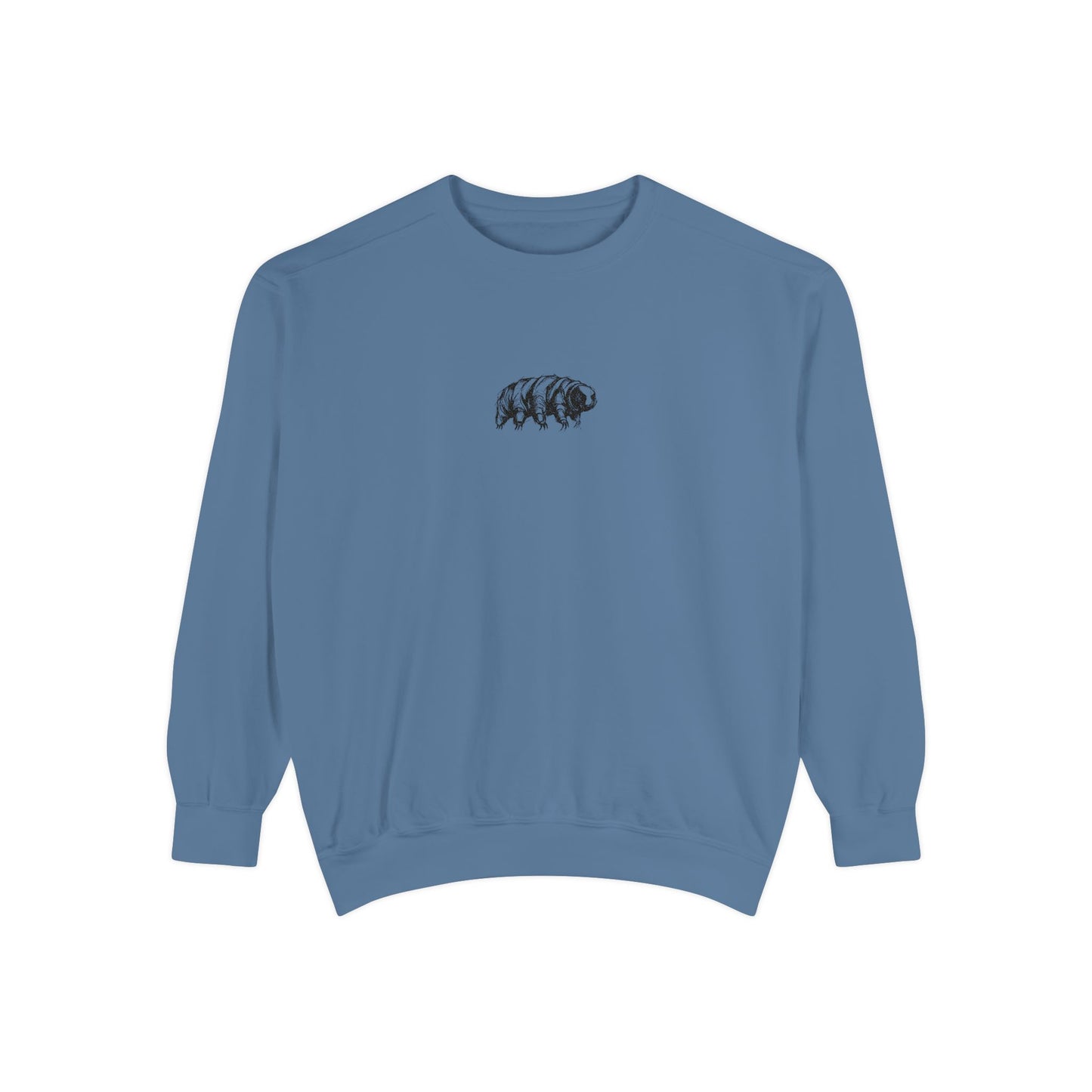 The Tardigrades Pullover