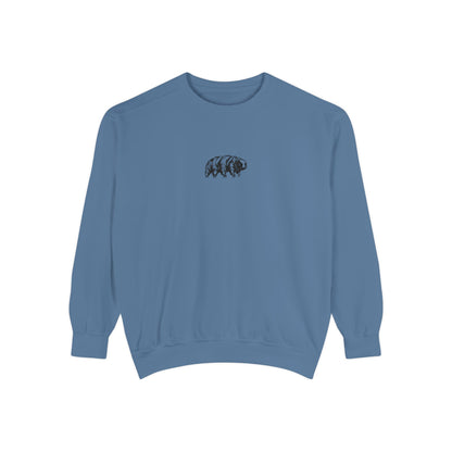 The Tardigrades Pullover