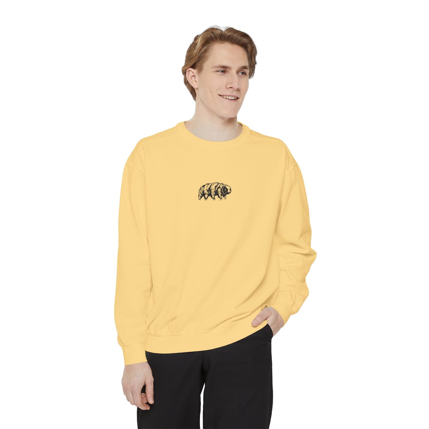 The Tardigrades Pullover