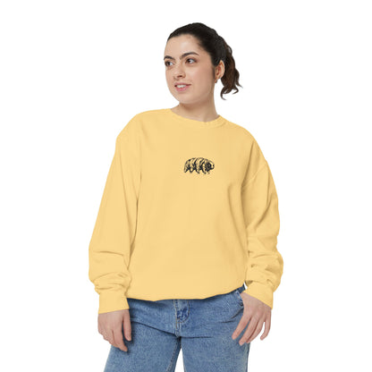 The Tardigrades Pullover