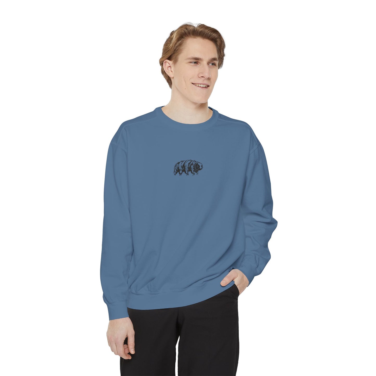 The Tardigrades Pullover
