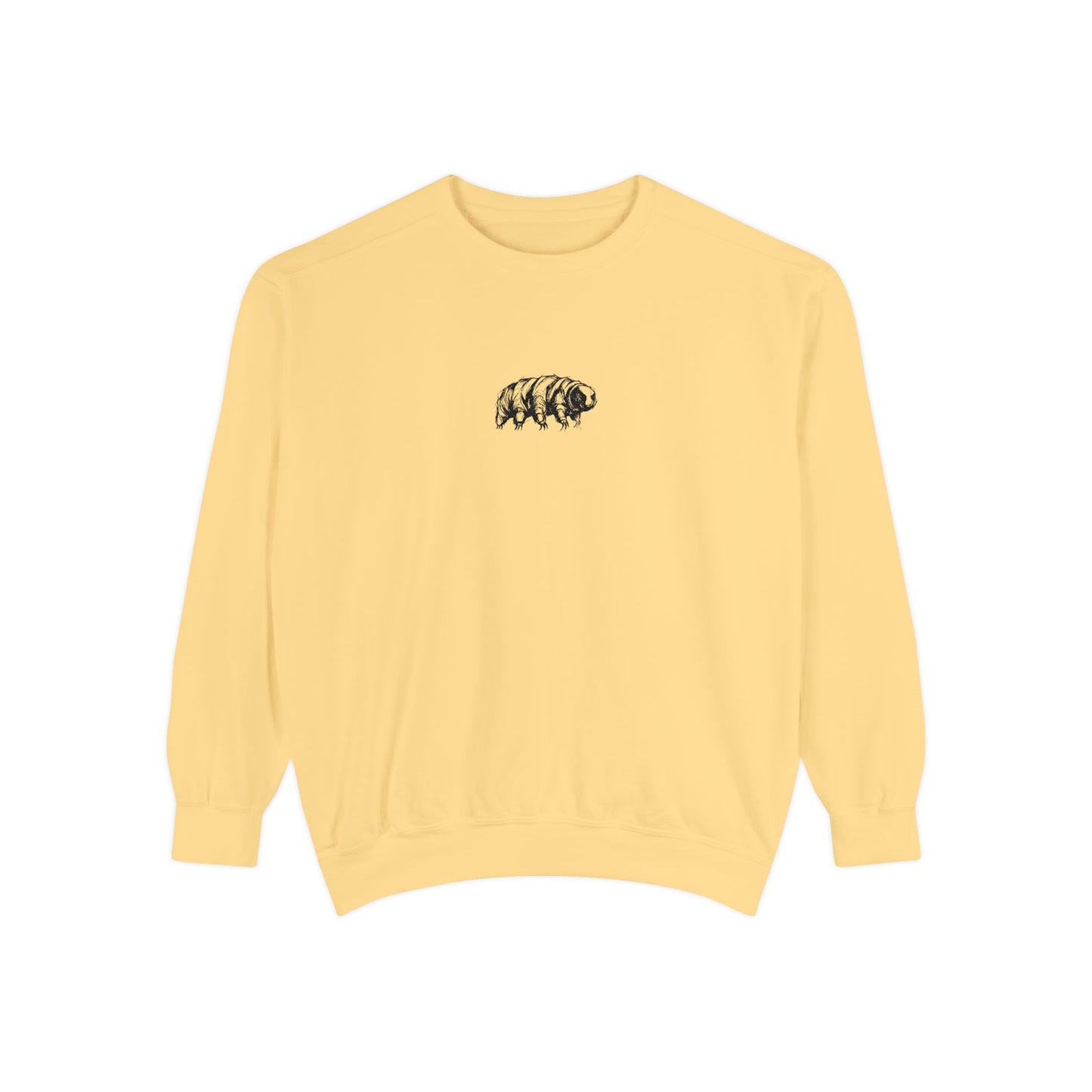 The Tardigrades Pullover