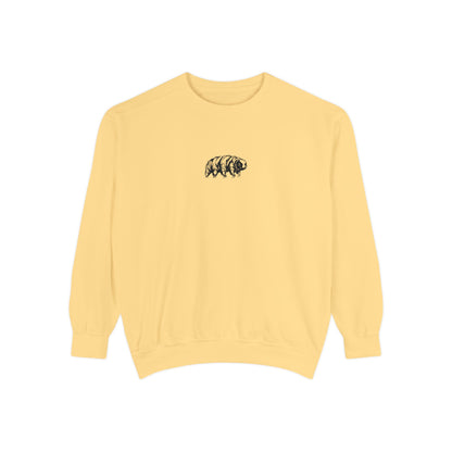 The Tardigrades Pullover