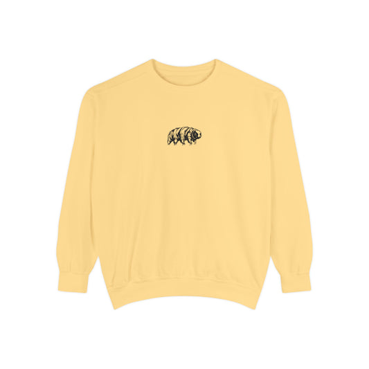 The Tardigrades Pullover