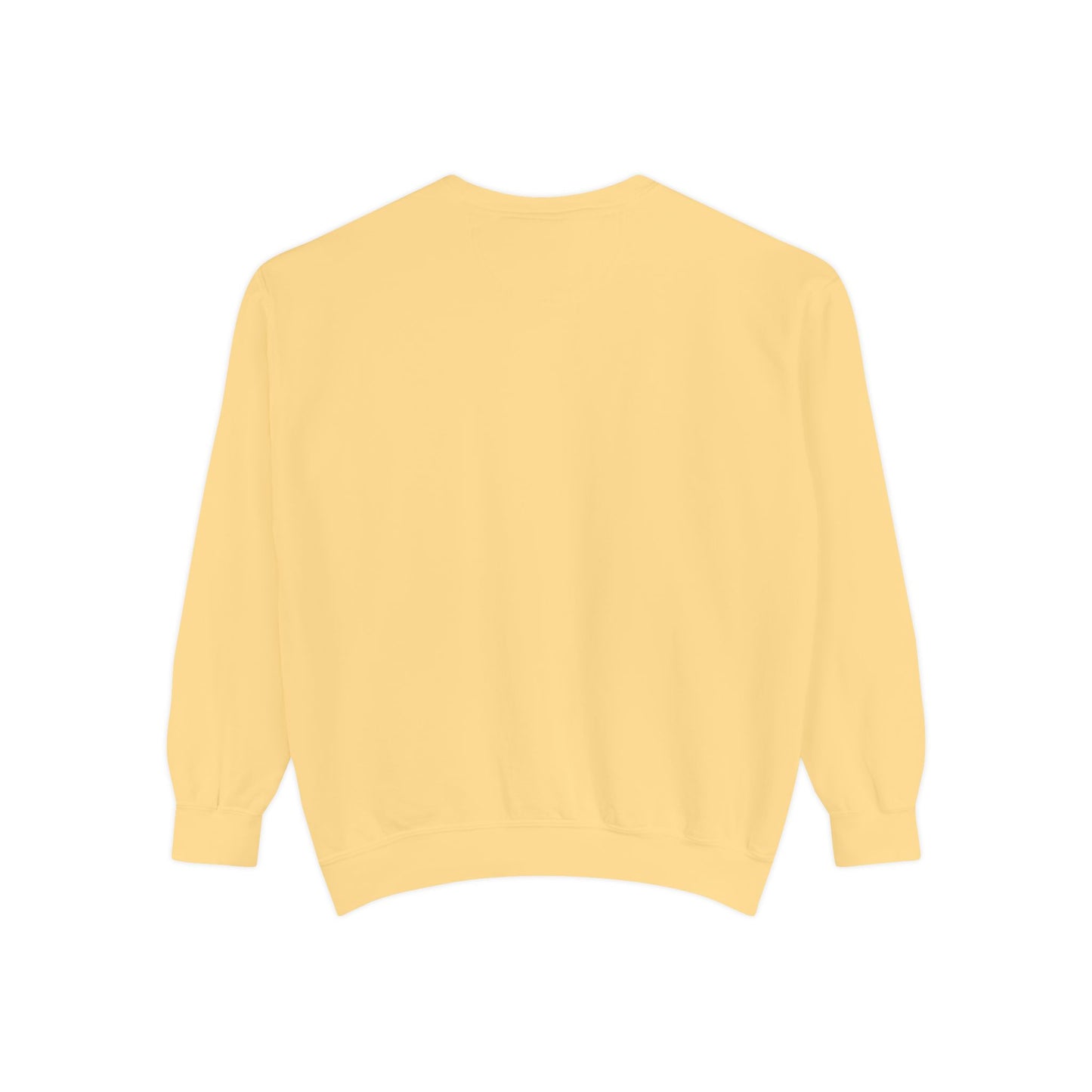 The Tardigrades Pullover