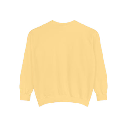 The Tardigrades Pullover