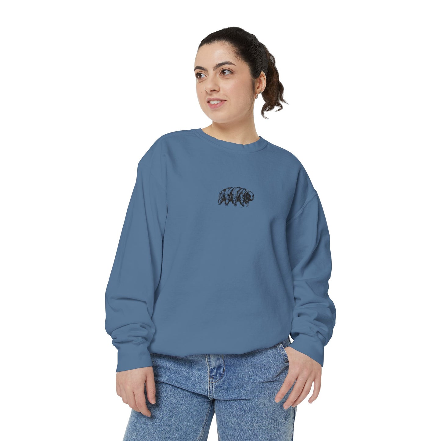 The Tardigrades Pullover