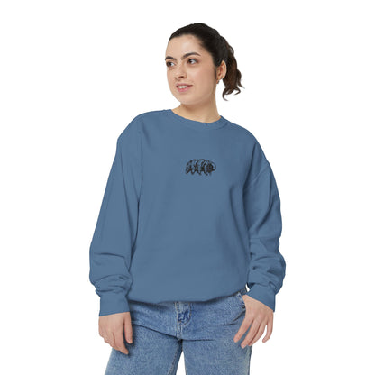 The Tardigrades Pullover