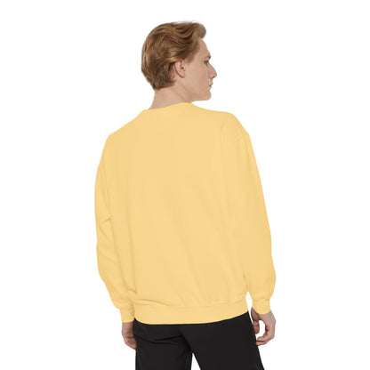 The Tardigrades Pullover